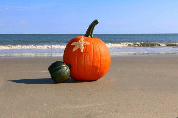 What is Panama City Beach Like in the Fall?